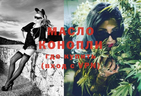 гашик Бородино
