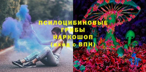 эйфоретик Богданович