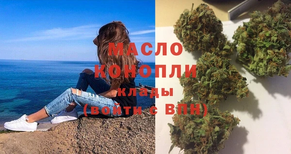 гашик Бородино