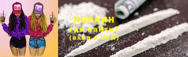 apvp Богородицк