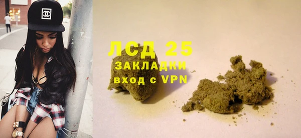 гашик Бородино