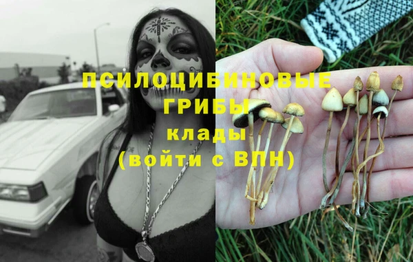 гашик Бронницы
