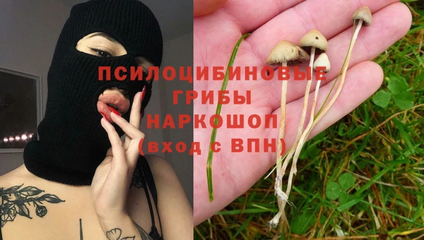 гашик Бородино