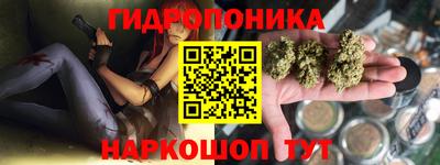 молекула духа Будённовск