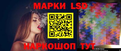 молекула духа Будённовск