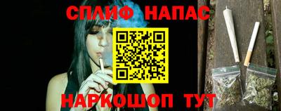 молекула духа Будённовск