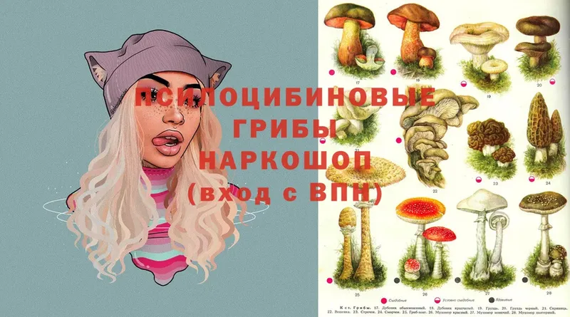 Галлюциногенные грибы Psilocybe  Воскресенск 