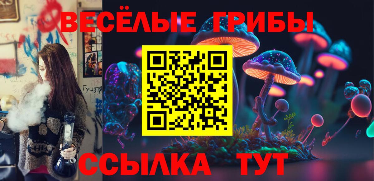Воскресенск  Псилоцибиновые грибы MAGIC MUSHROOMS  Вход с VPN  Псилоцибиновые грибы ЛСД 