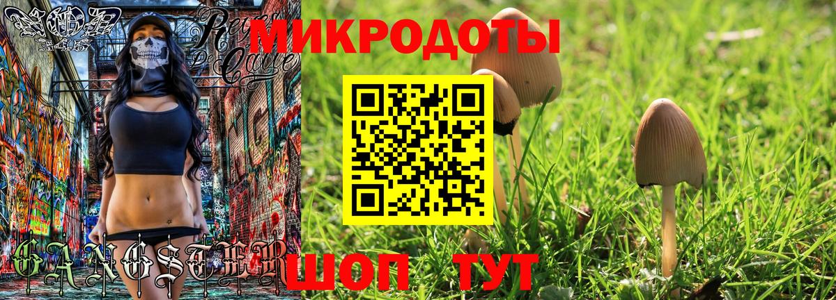 Псилоцибиновые грибы Cubensis Воскресенск