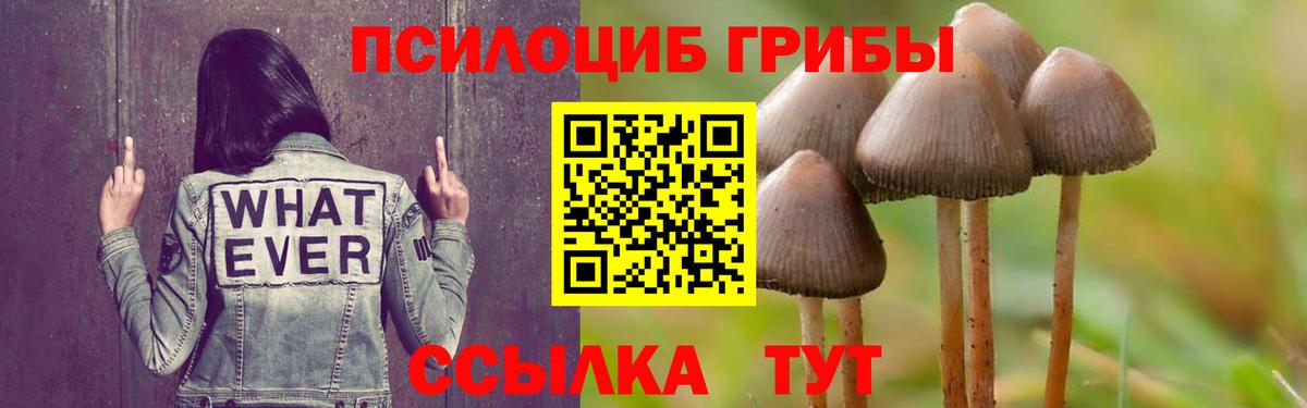 Галлюциногенные грибы ЛСД Воскресенск