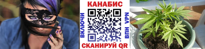 OMG ONION  Воскресенск  Конопля планчик 